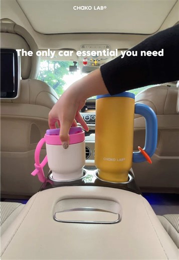 Discover Your Ideal Road Trip Companions