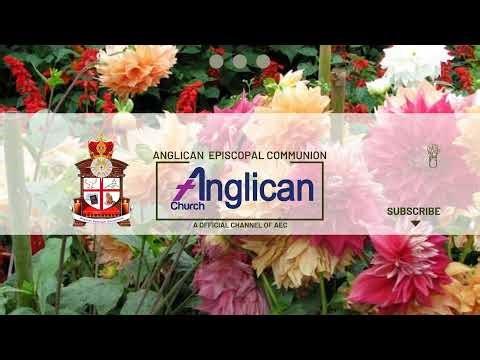 Anglican Church Live Stream