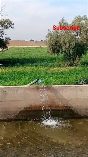 How to Balochistan valley village mountain forest 🏔️🌄 after vlog #valley #rolwalingvalley