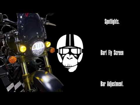 Dart Fly Screen, Spotlights and more on the Indian Chief Dark Horse
