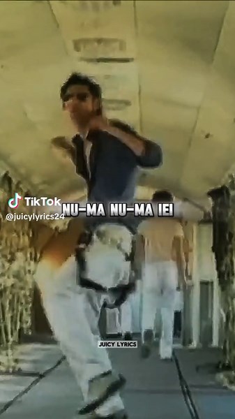 Numa Numa Lyrics - O-Zone's Catchy Hit