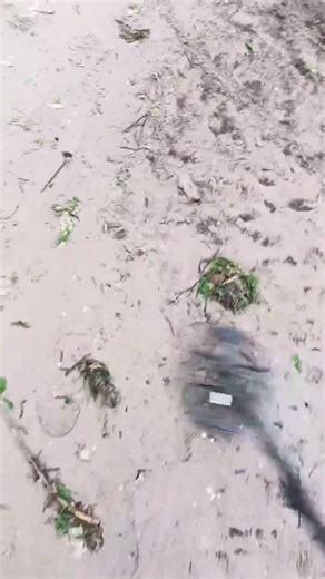 ricerca con il metal detector #metaldetecting #metaldetectoritalia #history #perte #treasure #hobby