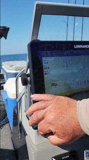 Jiigging for walleyes with Acrive Target 2