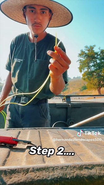 Hernandez Landscapes (@hernandezlandscapes500)’s video of Landscaping Tips