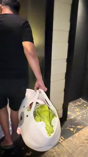 Esa Bella Greeting