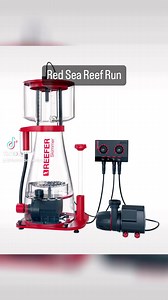 Red Sea Reef Run at The Hidden Reef #redsea #reefrun #thehiddenreef #aquarium #reeftank #reeftanksofinstagram @redsea.aquatics | The Hidden Reef, Inc
