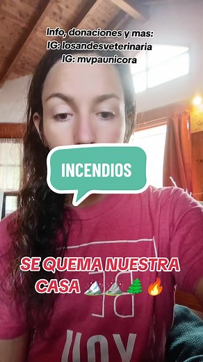 Incendios en Patagonia: Más de una casa en peligro