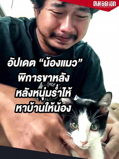 อัปเดต