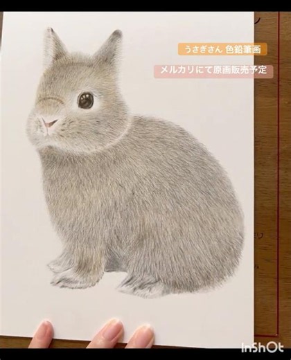 【うさぎさん 色鉛筆画イラスト】 #drawing #イラスト #イラストメイキング #アナログイラスト #色鉛筆 #うさぎ #動物 #うさぎイラスト #動物イラスト #手描き #絵