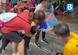 34K views · 576 reactions | Persatuan Pencegahan Kezaliman Terhadap Haiwan (SPCA) Selangor hari ini berjaya menyelamatkan anjing peliharaan milik salah seorang mangsa kebakaran saluran paip gas di Putra Heights.  Soon Li Wei | BERNAMA #BernamaNews | BERNAMA | Facebook