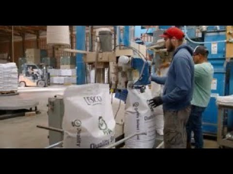 The History of the LESCO Seed Program