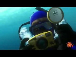 Baby Neptune peek a boo