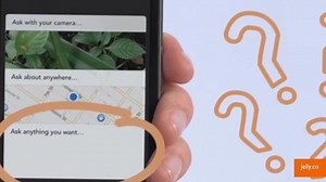 Updated Jelly App Uses Maps to Answer Questions