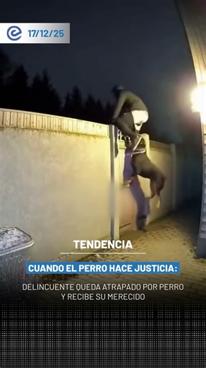 Delincuente queda atrapado por perro y recibe su merecido