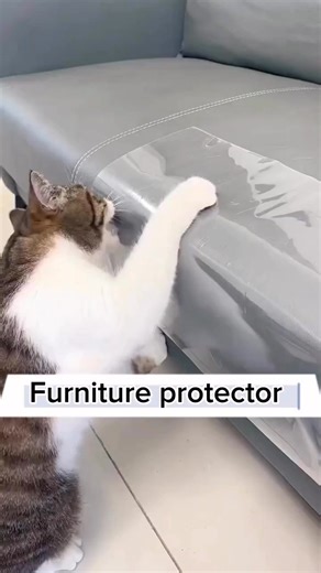 55K views · 236 reactions | The Ultimate Furniture Protector for Cat Owners. Find the product link in the comments! | Beautiful cats | Facebook