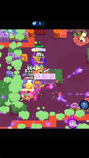 Aggressive crow🐦‍⬛😤