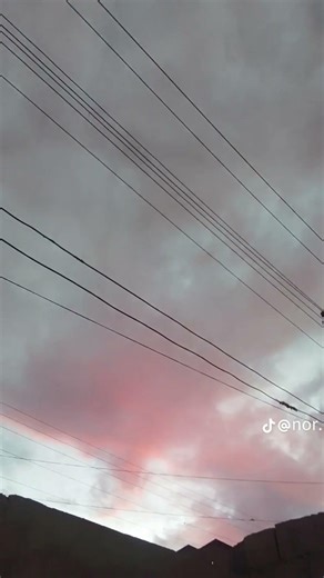 ٢٣ يناير ٢٠٢٦