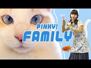【初公開】ピンキー！の愉快な家族たちを紹介します【でんぱ組.inc】