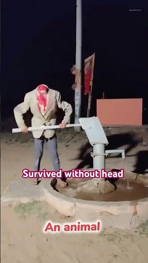 Survival without head incredible￼ facts 🤯 ￼ ​⁠‪@Purple_Ways‬