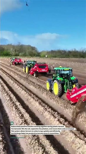 Powerful Tractors Harvesting Potatoes Fast | #Farming #Agriculture #FarmMachinery