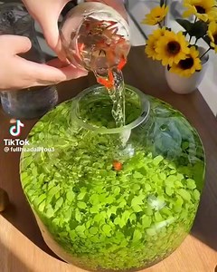 30M views · 86K reactions | Creating a desktop tank . . ....