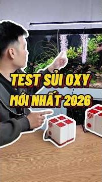 Test sủi Oxy siêu êm mới nhất 2026 có thực sự đáng tiền?🧐 #thuysinh #cacanh #tet2026