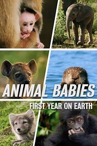 Animal Babies: First Year On Earth (2019) - TV Show