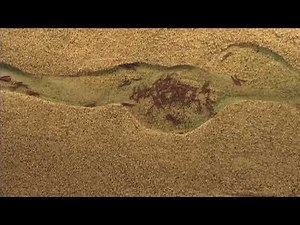 River Geomorphology (34) - Logjam Formation at the Transition From Straight to Meandering Channel...