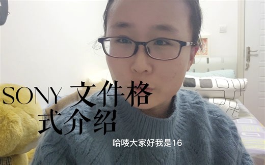 SONY文件格式设置