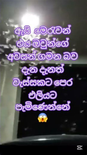 ඇයි මෙරැවන් දැන දැනම සිය දිවි නසාගන්නේ🫠 #riddles #quiz #shorts #gk #mindbendingquiz