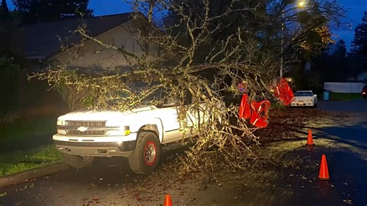 ￼SANTA ROSA, CA - Weather Updates (12/24) 🌬️A new Wind Advisory has been issued for tonight (12/24) at 8PM and will continue through 10AM, tomorrow (12/25), Christmas morning. ✅Gusty winds will blow around unsecured objects. ✅The combination of wind and moist soils will increase the risk for downed trees. ✅Plan for power outages. 🌳Report trees across roadways, into powerlines, onto structures or vehicles to 911. ⛈️There is the potential for severe thunderstorms tonight and the general risk of 
