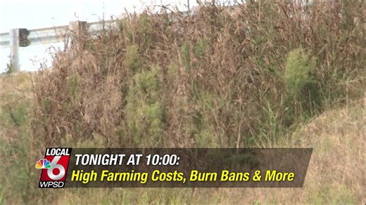 Tonight at 10, Local 6's Drayton Charlton-Perrin shares more on how rising costs could impact local farmers. Plus remembering late deputy judge executive Steve Doolittle during the McCracken County Fiscal Court meeting. Join us on WPSD Local 6! | WPSD-TV