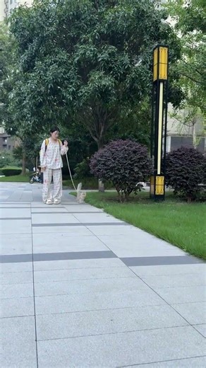 猫猫你呀天天走错门#塞尔凯克卷毛猫 #萌宠日常记录