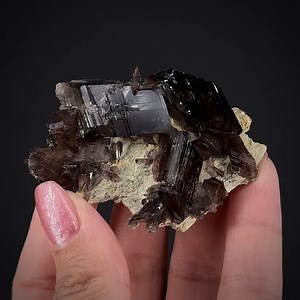 Axinite on matrix - Le Bourg-d'Oisans, Grenoble, Isère, Auvergne-Rhône-Alpes, France More info: https://www.irocks.com/minerals/specimen/52795 This would be a sharp axinite cluster from any locality but, more than that...it is a fine old classic, dating back perhaps hundreds of years (although there is no way of telling, many of these DO date to the 1800s and early 1900s). Sharp crystals to 3.5 cm are gemmy, lustrous, gorgeous on contrasting matrix. They are transparent to translucent in person,