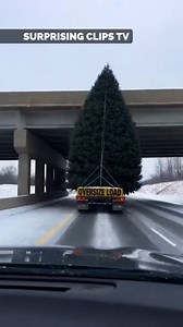 Oversize Load Goes Wrong Under a Highway Overpass | Surprising Clips TV