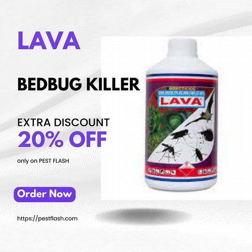 Top 10 Best Bedbug Insecticides in Kenya | Ultimate Bed Bug Control Chemicals in Nairobi