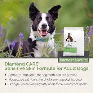 148K views · 16 reactions | Does your dog suffer from sensitive skin? Our Diamond CARE® Sensitive Skin Formula for Adult Dogs might help. This formula contains hydrolyzed salmon as the single animal protein source and omega-6 & omega-3 fatty acids for skin and coat health. Learn more here: dpf.pet/adult-dog-sensitive-skin. For more tips to help your dog with sensitive skin, join our Diamond CARE Pet Group. | Diamond Pet Foods | Facebook