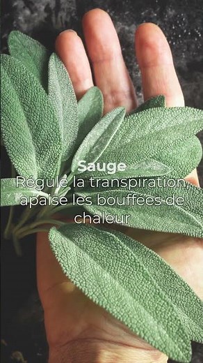 Adieu Bouffées de Chaleur : Les Plantes Qui Apaisent la Ménopause