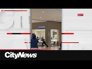 Video shows a smash-and-grab robbery at GTA jewellery store