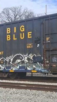 20+ CSX Big Blue Box Cars Lined Up In Kingsport. #csx #train #railroad