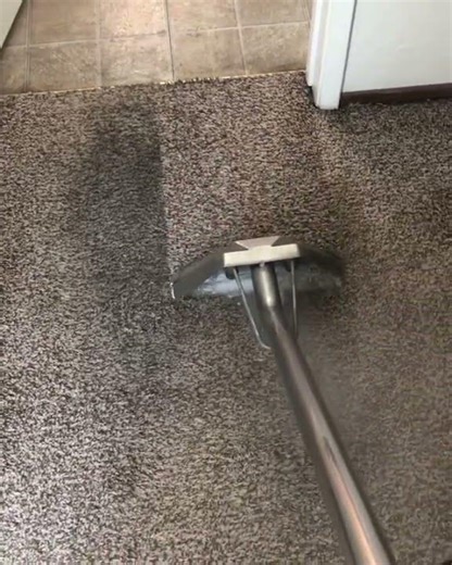 Local Carpet Cleaning video shorts #localcarpet #cleaning 16