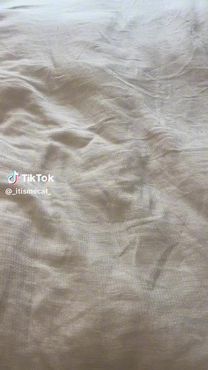 itsmecat_Official (@itsmecat_official)’s videos with original sound - itsmecat_Official