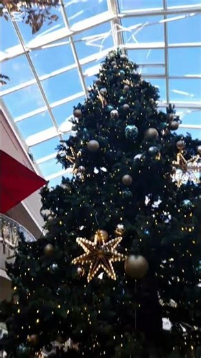 Alors?! #roblox #youtube #pourtoi