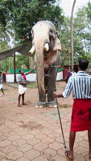 രാമനും മഹേഷ്ഏട്ടനും
