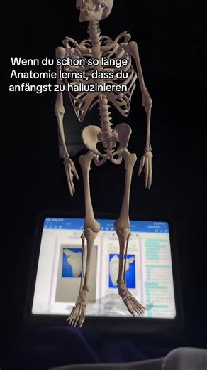 Understanding Anatomy Through Occupational Therapy Training
