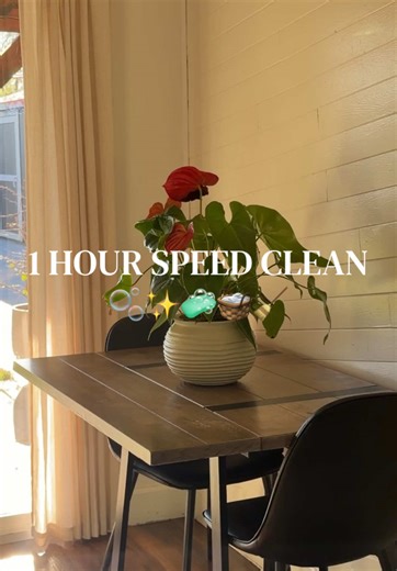 1 Hour Speed Clean: Weekend House Reset | Cleaning Motivation