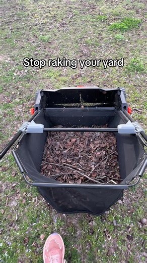 Fast & Easy Yard Cleanup with a Leaf Sweeper