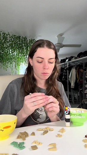 Creative LEGO Insect Collection Build | LEGO Vlog