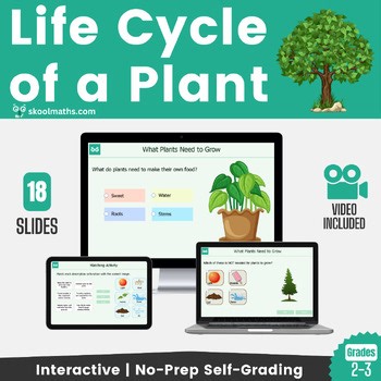 The Life-Cycle of a Plant Interactive Digital Science Lesson 2nd to 3rd Grade