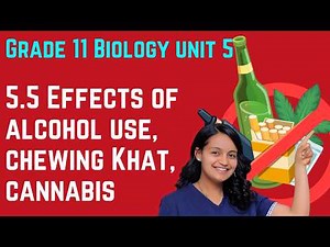 Grade 11 Biology Unit 5:5.5 Effects of alcohol use, chewing Khat, cannabis | Saquama